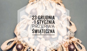 Przerwa świąteczna 23.12-1.01